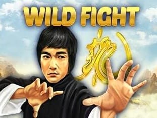 Wild Fight screenshot
